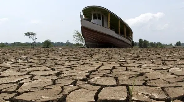 بارش کم بیشتر از تامین آب شرب به محیط زیست صدمه می زند/ باعث افزایش قیمت دام سبک، قیمت گوشت و رشد قاچاق می‌شود