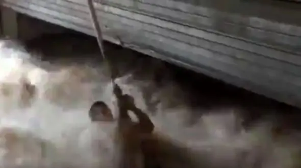 لحظات نفس گیر نجات مرد گرفتار در سیل + فیلم
