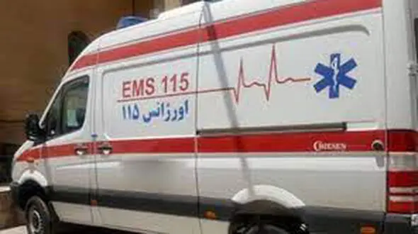 حمله سگ های خانگی به تکنسین اورژانس تهران / همراه بیمار به سگ ها دستور حمله داد + عکس