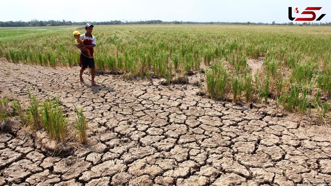 خسارت چهار هزار و ۴۰۰ میلیارد تومانی خشکسالی به کشاورزی لرستان 