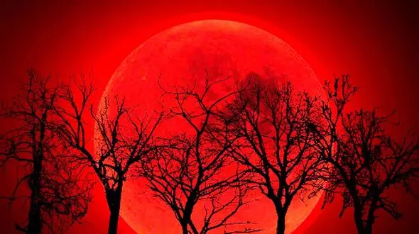 زمان و ساعت ماه گرفتگی 16 شهریور 1404؛ دقیق‌ ترین جزئیات را اینجا بخوانید