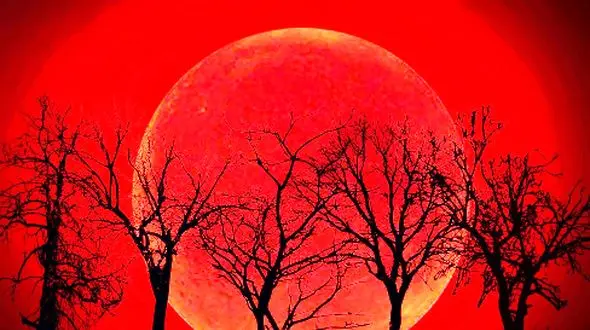 زمان و ساعت ماه گرفتگی 16 شهریور 1404؛ دقیق‌ ترین جزئیات را اینجا بخوانید