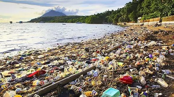 پیدا کردن جسد نهنگ 6 تنی که 30 کیلو پلاستیک در شکمش بود!