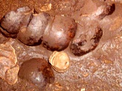 جمجمه‌ های اسرارآمیز در غار خون / داستان قربانیان باستانی