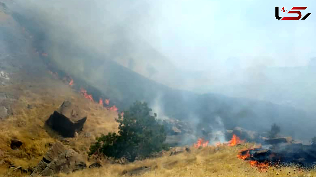آتش سوزی پوشش گیاهی در یکی از مناطق مهاباد