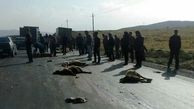 کشته شدن 40 گوسفند در دزفول / واژگونی کامیون 3 بامداد رخ داد + عکس