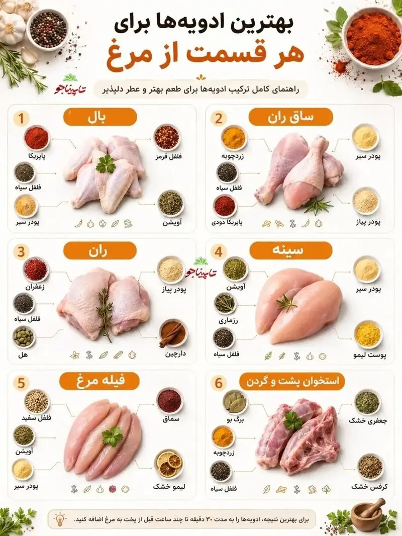 بال مرغ