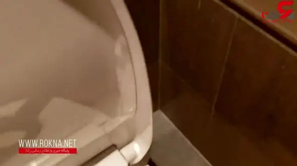 اختراع توالت مدرن ویژه سالمندان+ فیلم