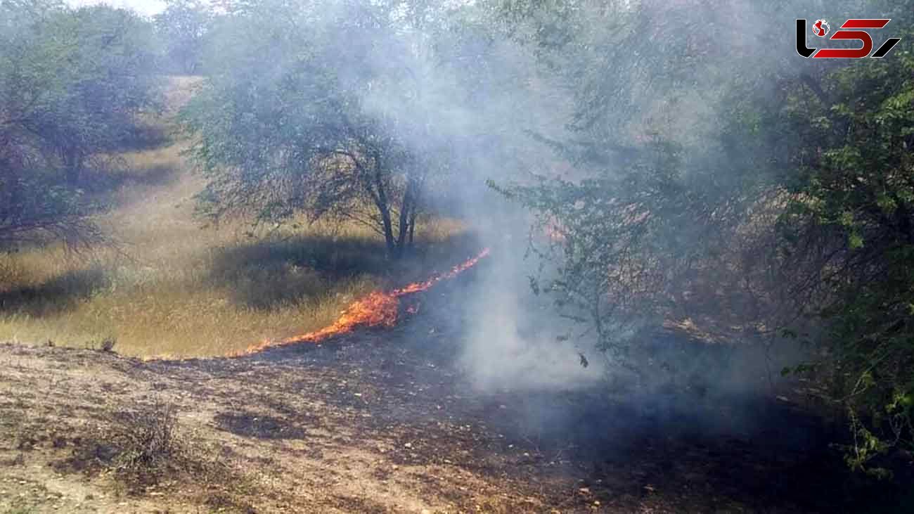 مهار آتش سوزی جنگل خسرج خوزستان