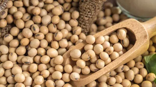 غذاهای ممنوعه بیماران مبتلا به تیروئید