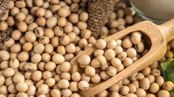 غذاهای ممنوعه بیماران مبتلا به تیروئید