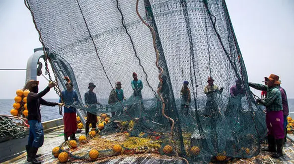 تایید رسمی ماهیگیری چینی‌‌ها در آب های عمیق ایران در دریای عمان 