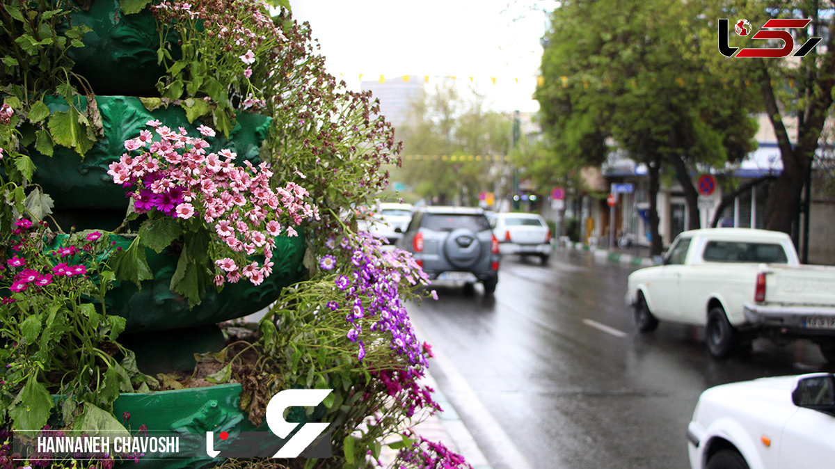 دمای هوا در غرب و شمال کشور 15 درجه کاهش می یابد/ باران پدیده غالب خواهد بود