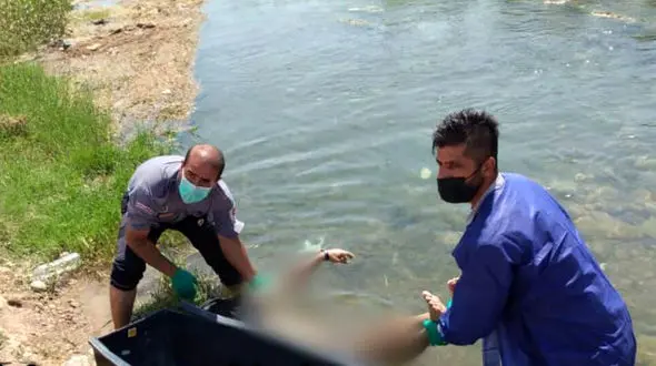 عکس جنازه ناشناس در دزفول / معمای چسب نوار قلب راز مرگ را فاش می کند؟ 