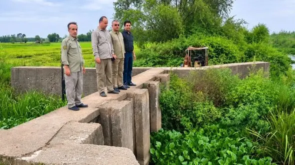 فراتر از هم‌نوع؛ نخستیسان‌ها با گونه‌های دیگر هم‌زیستی می‌کنند