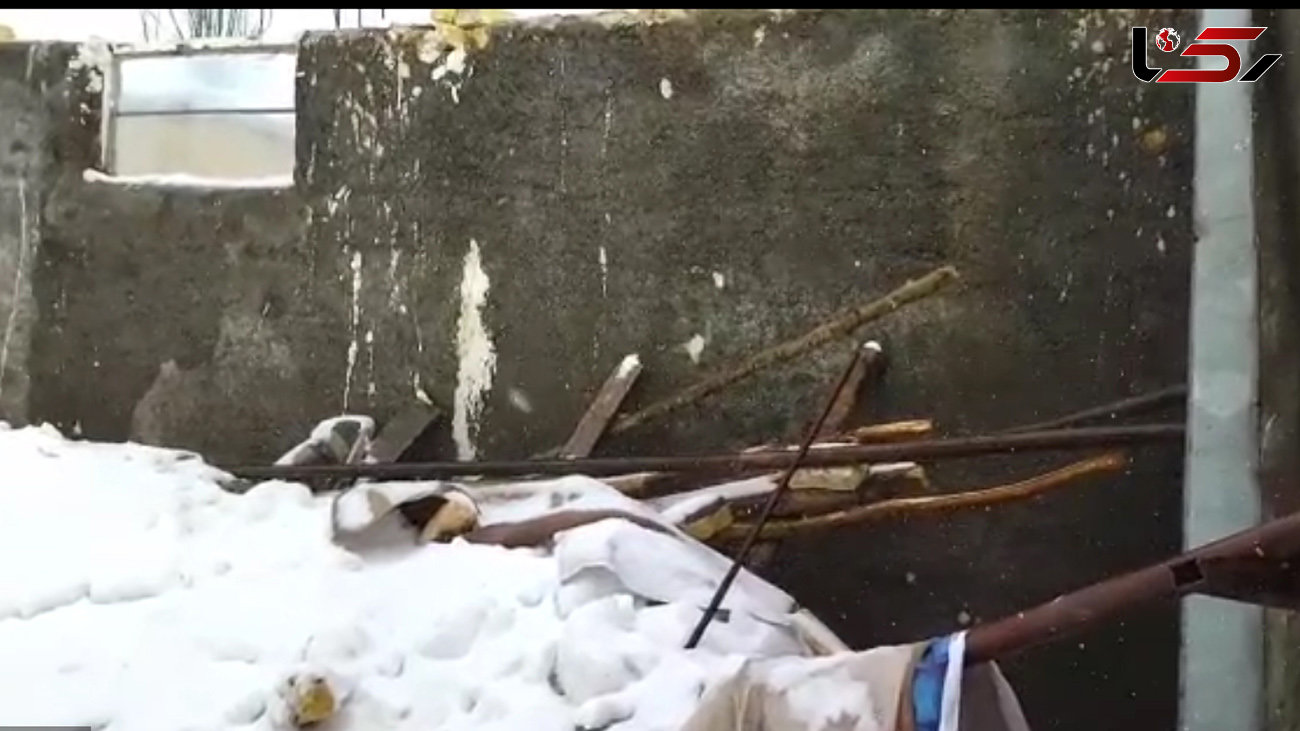 خسارت طوفان شدید به یک واحد دامداری در کوهرنگ + فیلم
