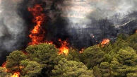 آتش‌سوزی در پارک جنگلی شهر سنقر مهار شد