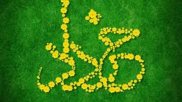 خصوصیات جالب خرداد ماهی ها  !