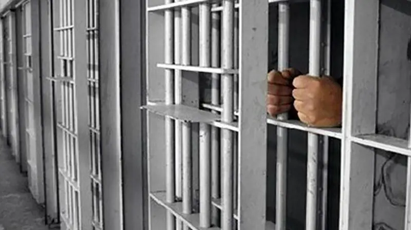 سرنوشت تلخ مردگان متحرک در حبس