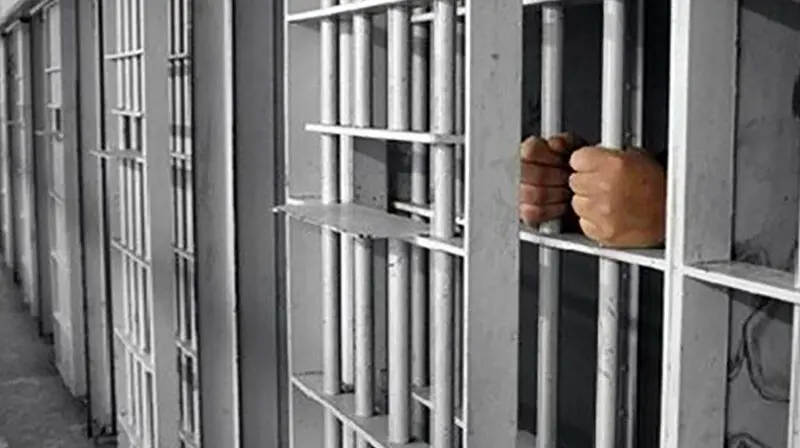 سرنوشت تلخ مردگان متحرک در حبس