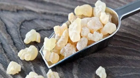 کتیرا و تاثیرات آن بر سلامت معده از دیدگاه طب سنتی