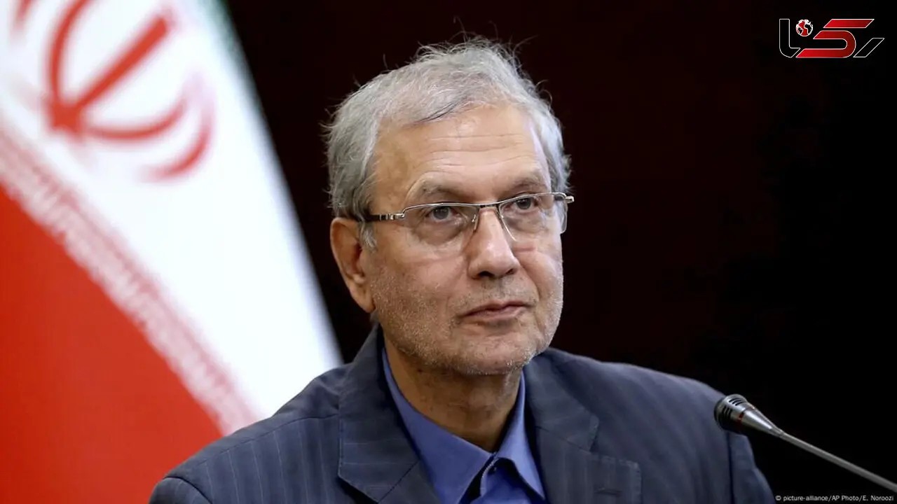 علی ربیعی: نرخ خودکشی در کشور از متوسط جهانی کمتر است
