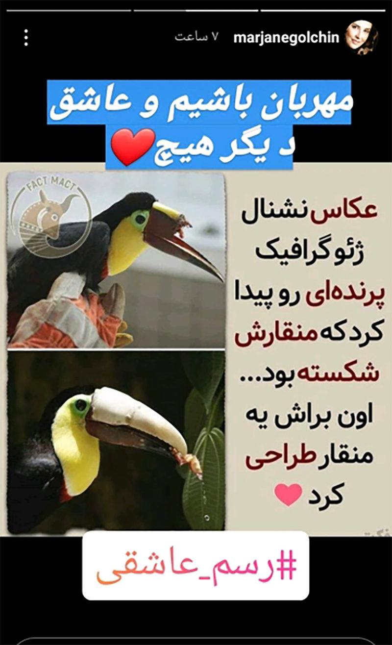 مرجانه گلچین