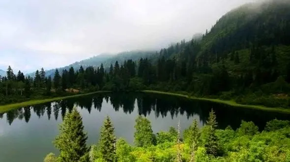 دو روایت از آرامش / طبیعتی که در سکوت نفس می‌کشد