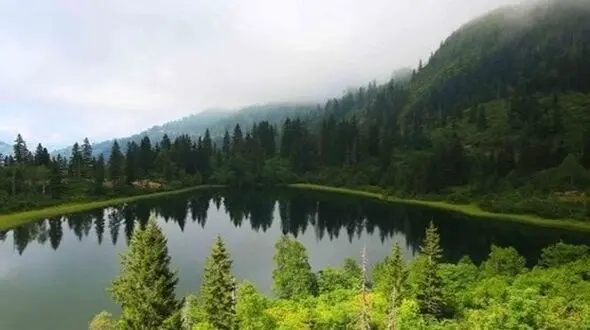 دو روایت از آرامش / طبیعتی که در سکوت نفس می‌کشد
