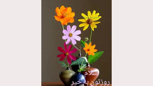 فال ابجد امروز / 3 شهریور ماه + فیلم