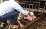نجات معجزه آسای پیرمرد تنها روی ریل / قطار از روی او  رد شد اما زنده ماند + عکس