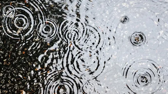 چشم نوازی آهنگ باران بر روی برکه + فیلم