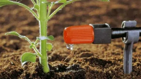 ۲۷۰ شهر کشور در تنش آبی/ مسئولان همچنان وعده برنامه ریزی می دهند / راهکار تغییر مدیریت مصرف آب در بخش کشاورزی است