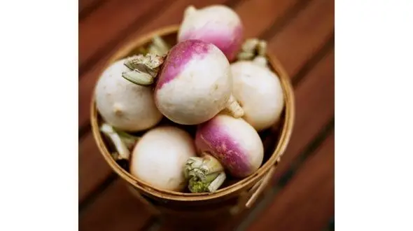 هنگام سرماخوردگی آنتی بیوتیک طبیعی مصرف کنید