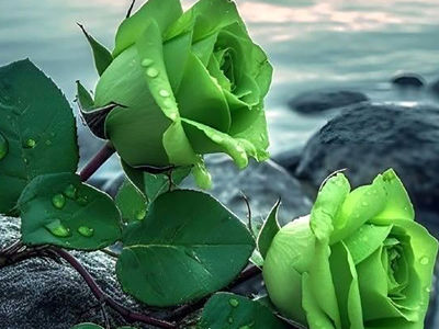 تعبیر فال ابجد امروز 26 تیر 