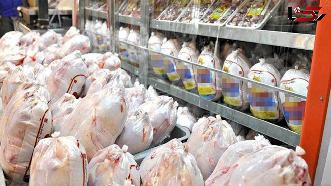 اولویت وزارت جهاد کشاورزی تامین مرغ مصرفی است
