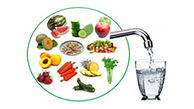 خوراکی‌ های تامین کننده آب بدن 