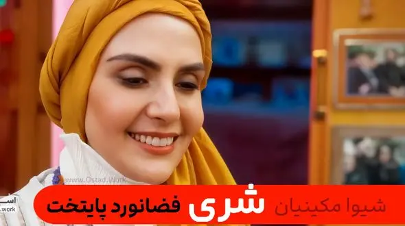 شیوا مکینیان این تصویر از پایتخت 7 را در صفحه شخصی خود منتشر کرد!