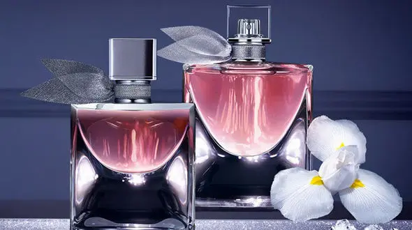 چگونه بهترین عطر برای هدیه را انتخاب کنیم؟