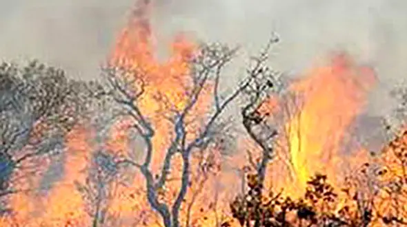آتش سوزی در مراتع روستای چم مرودشت