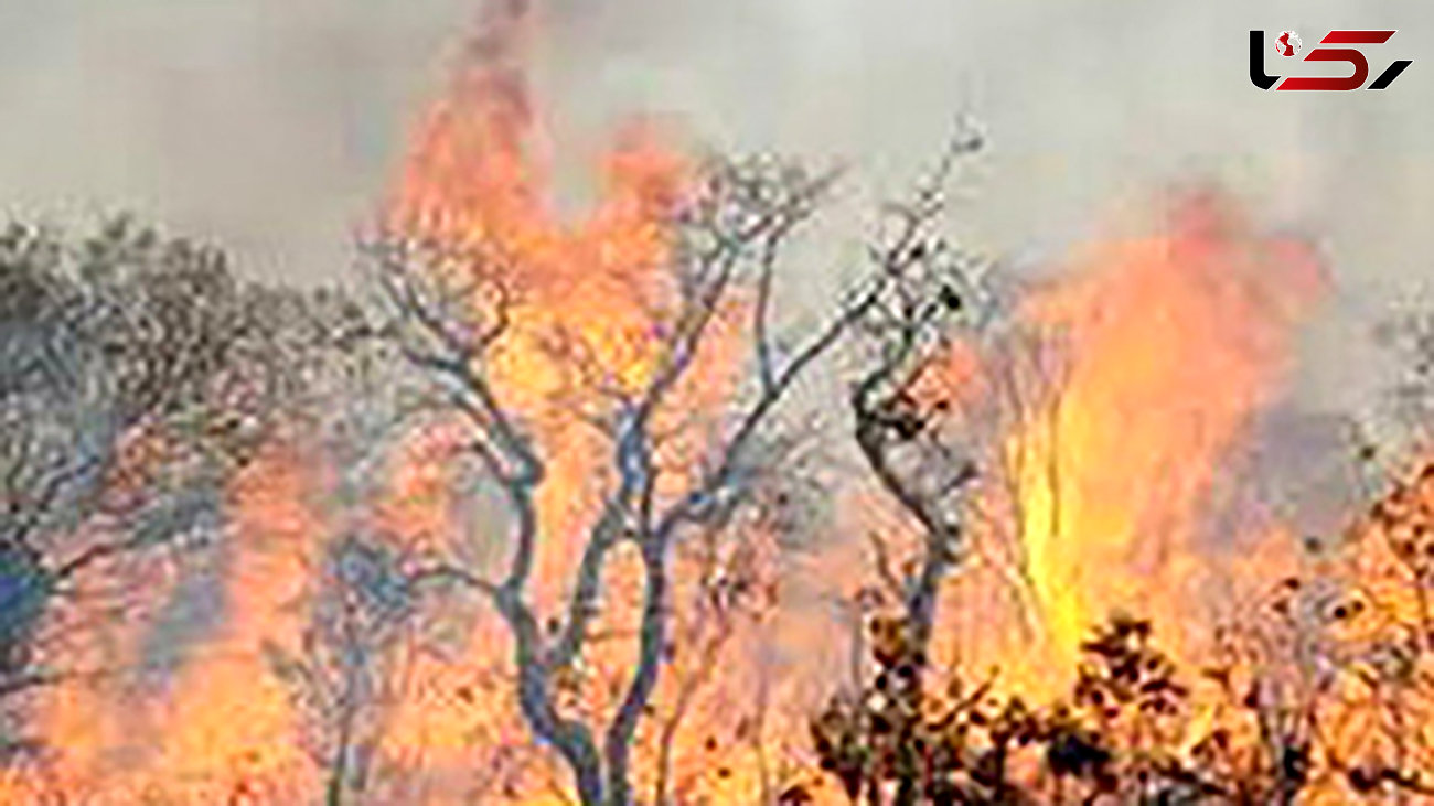 آتش سوزی در مراتع روستای چم مرودشت