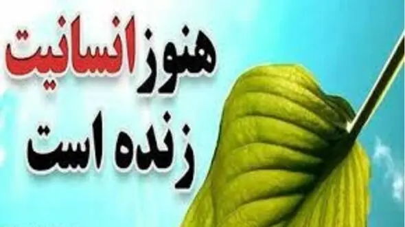 انسانیت مخترع اردبیلی با پولی که از هلند به او رسید