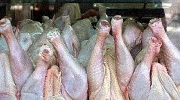 تولید مرغ گران شد