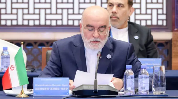 ناصر سراج: عفو معیاری یک دستاورد حقوق بشری است