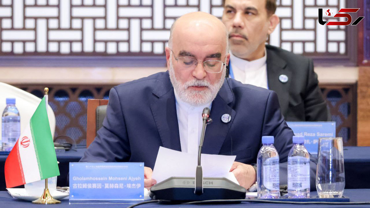 ناصر سراج: عفو معیاری یک دستاورد حقوق بشری است