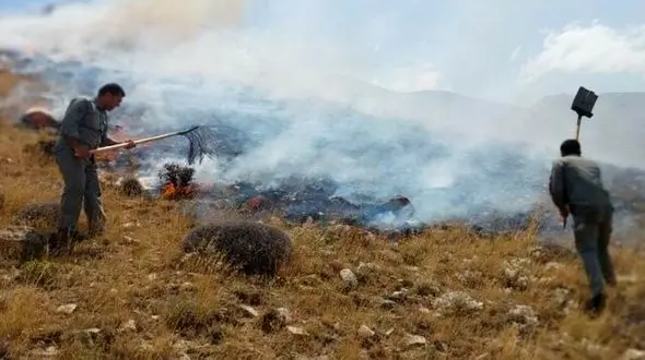 محیط‌بانان آتش را در کیامکی مهار کردند