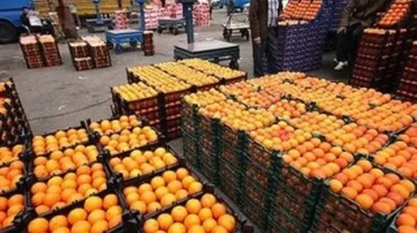 کمبود پرتقال در بازار 