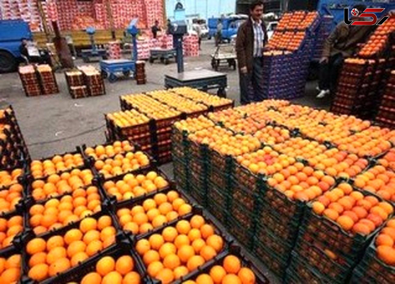 کمبود پرتقال در بازار 