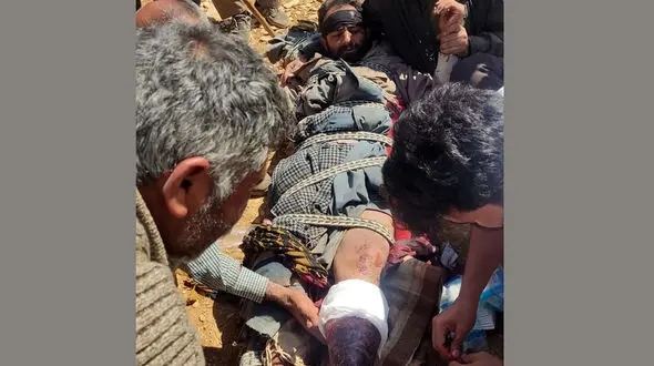  فیلم حمله خرس گرسنه به 2 دامدار در کوه سفید / ببینید