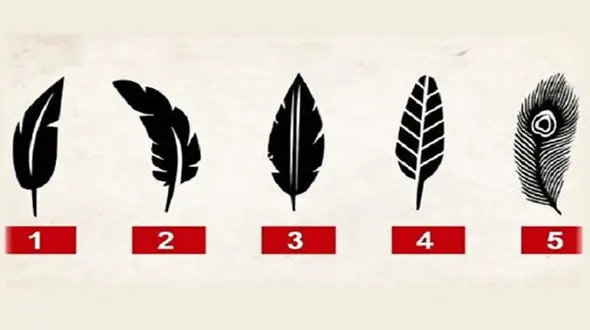 تست : یک پر انتخاب کنید و شخصیتتان را بشناسید 